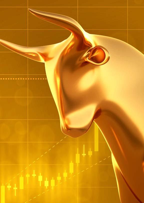 Investment Update